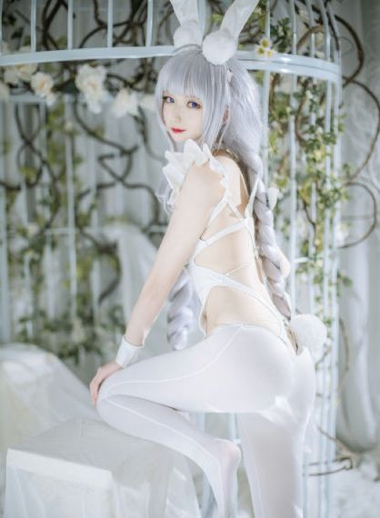 网址在线观看_高清完整版